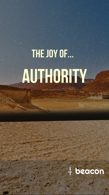 The Joy of Authority Pt. 2