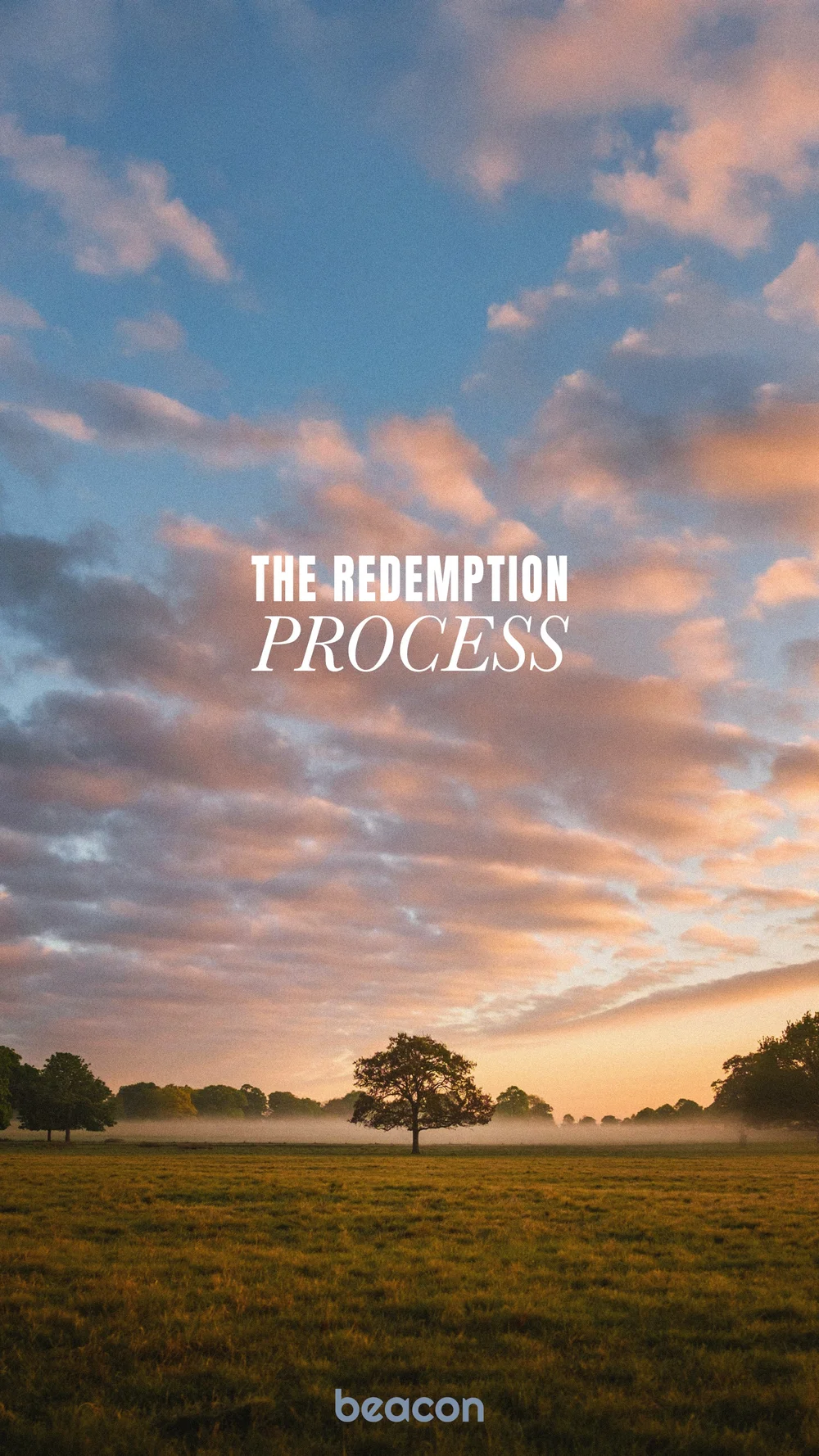 The Redemption Process