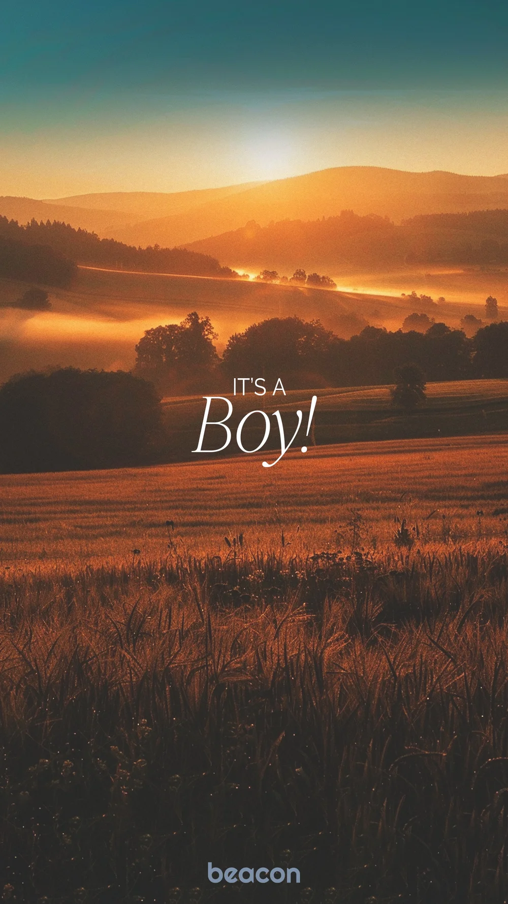 It’s a Boy!